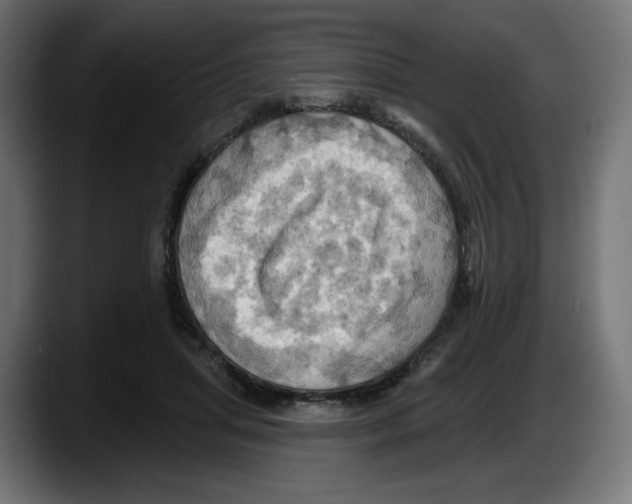 X0000087530455200705251703