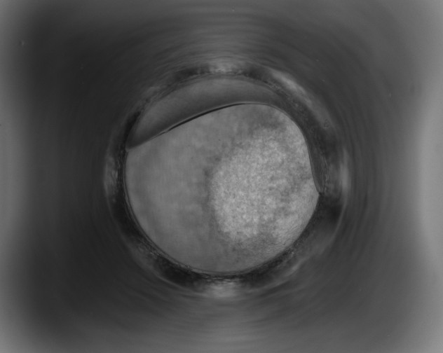 X0000087530456200705251703