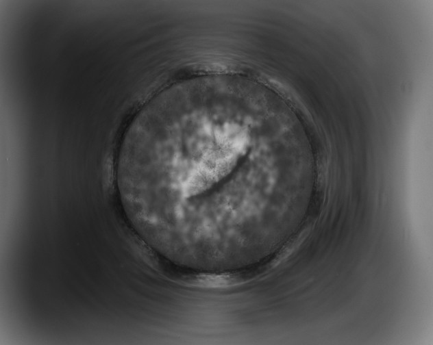 X0000087530457200705251703