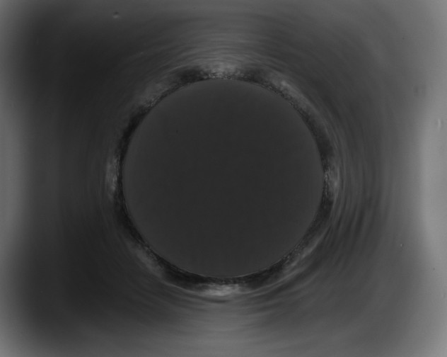 X0000087530458200705251703