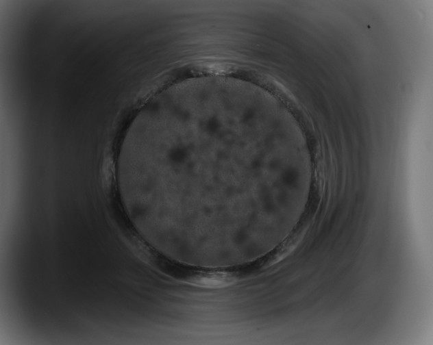 X0000087530459200705251703