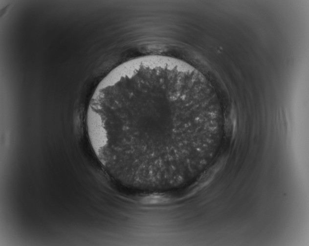 X0000087530460200705251703