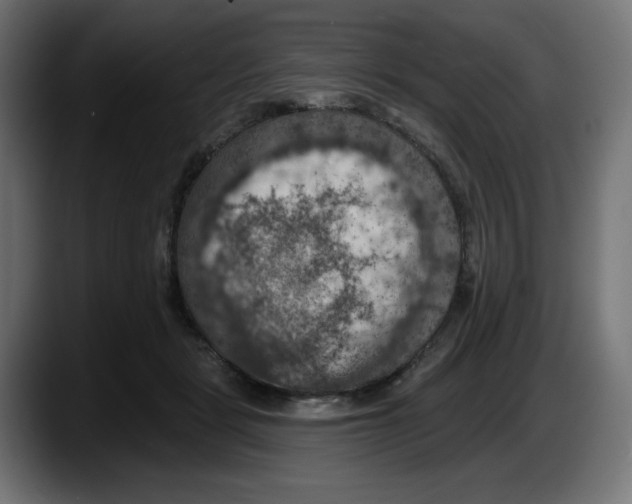 X0000087530461200705251703