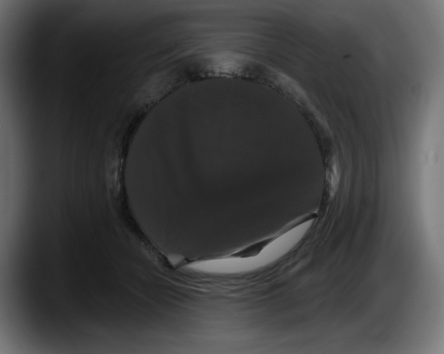 X0000087530462200705251703