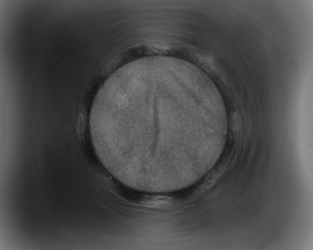 X0000087530463200705251703