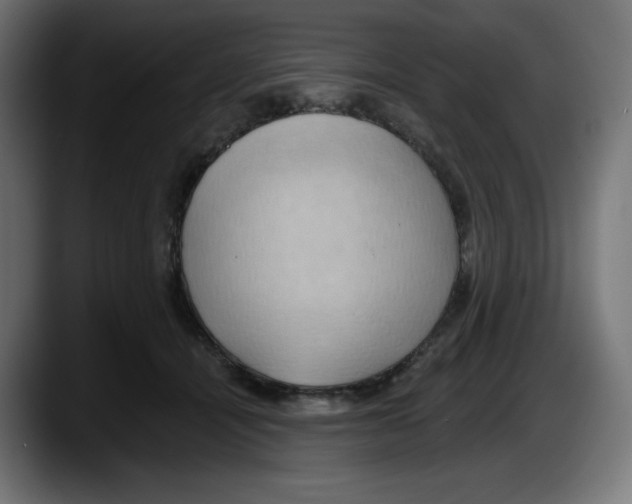 X0000087530464200705251703