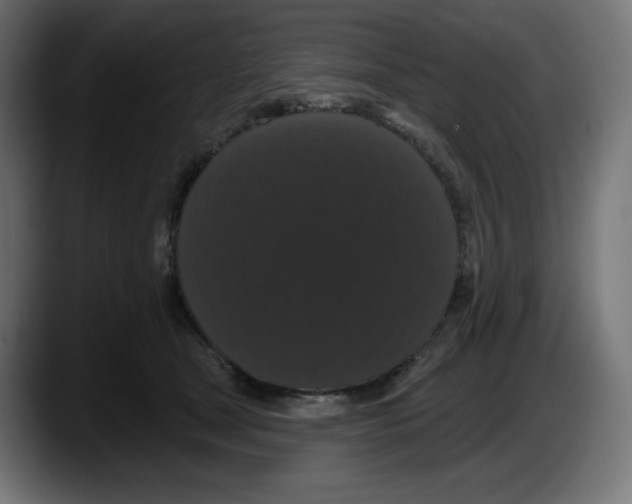 X0000087530465200705251703