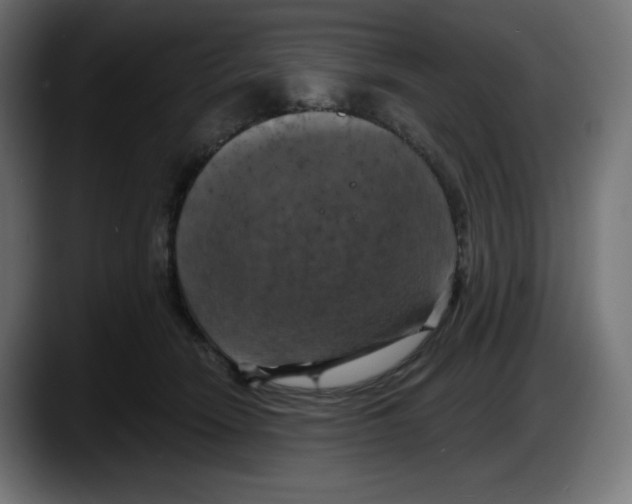 X0000087530466200705251703