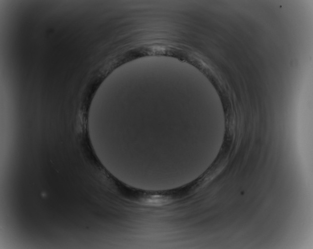 X0000087530467200705251703