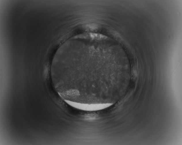 X0000087530468200705251703