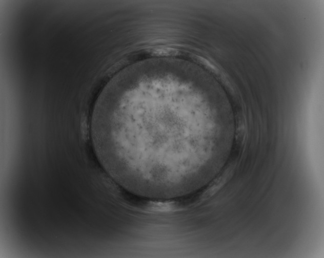 X0000087530469200705251703