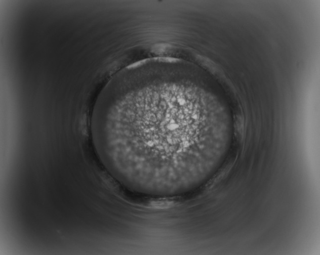 X0000087530470200705251703