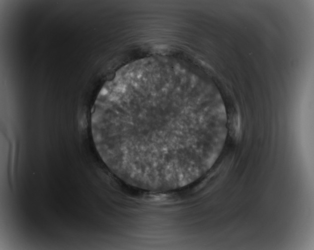 X0000087530472200705251703