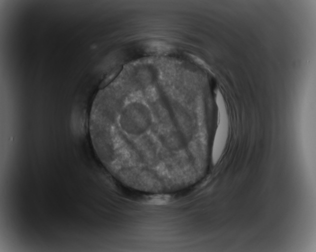 X0000087530474200705251703