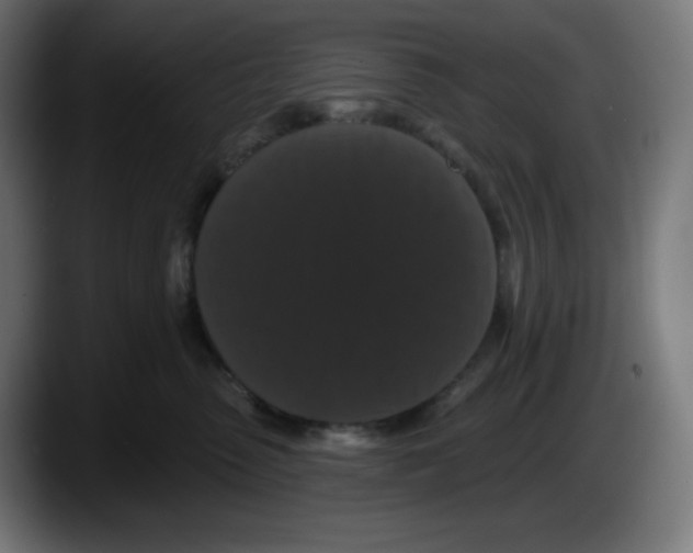 X0000087530475200705251703