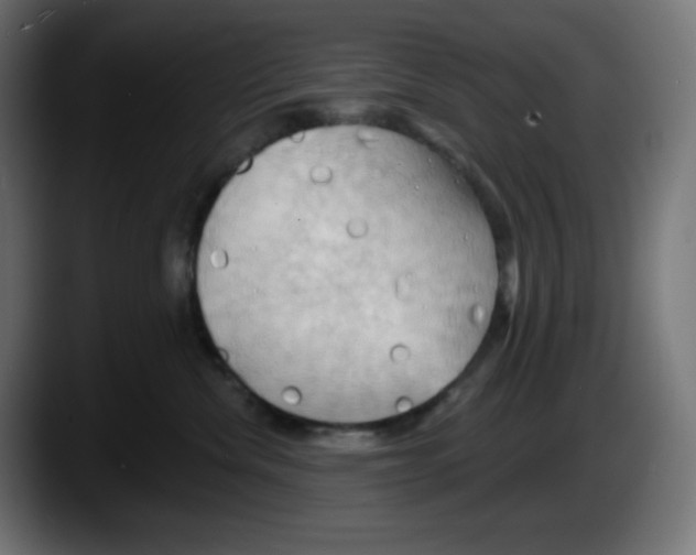 X0000087530476200705251703