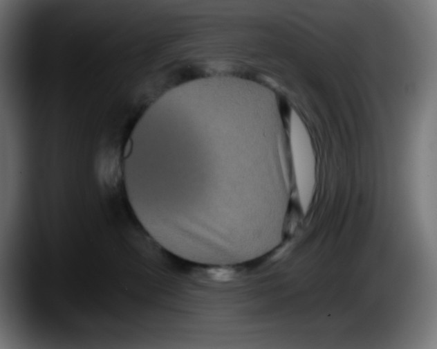 X0000087530478200705251703