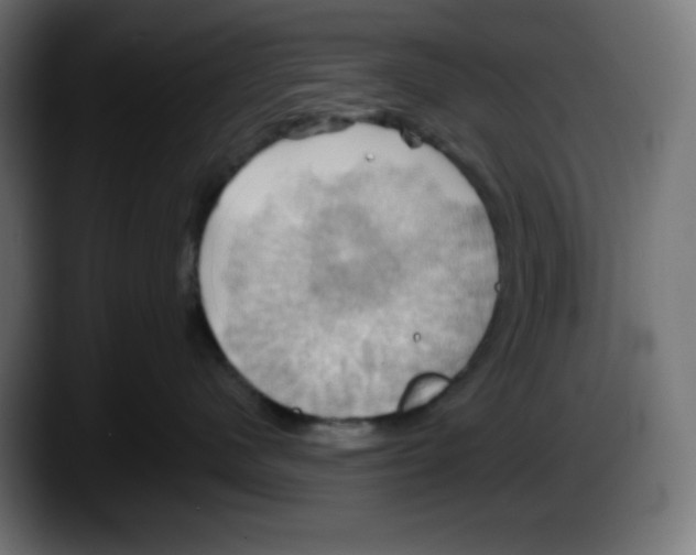 X0000087530480200705251703