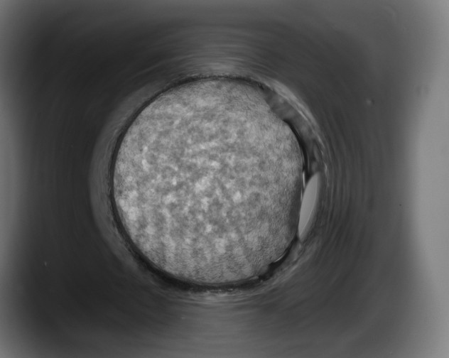 X0000087530481200705251703