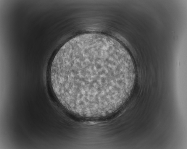 X0000087530482200705251703