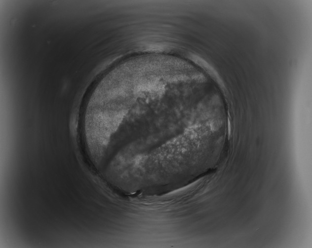 X0000087530483200705251703