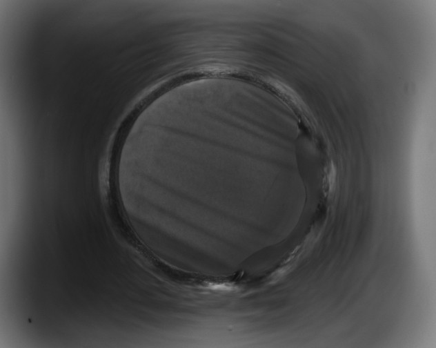 X0000087530484200705251703