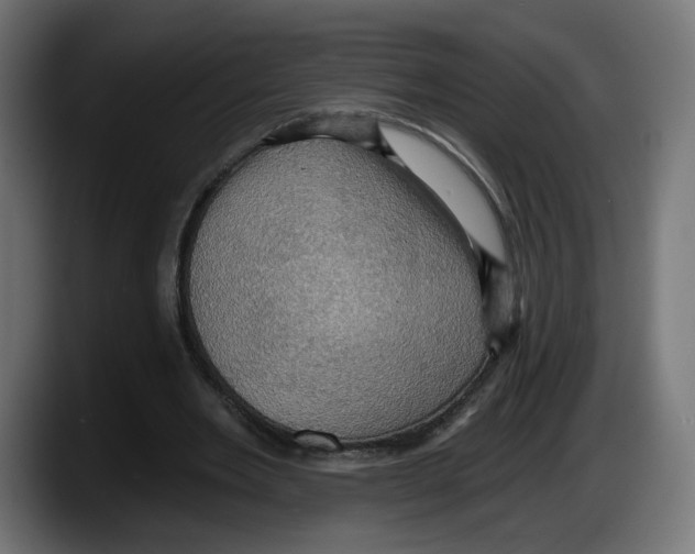X0000087530485200705251703