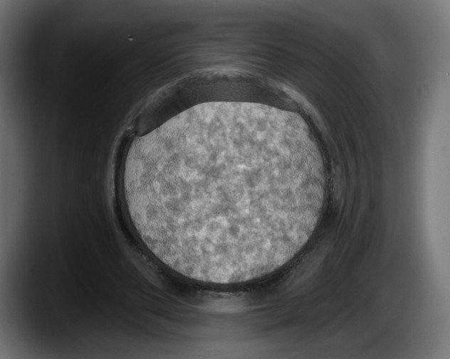 X0000087530486200705251703