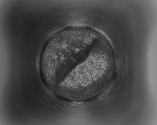X0000087530487200705251703