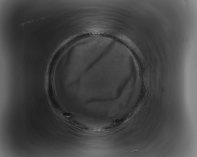 X0000087530488200705251703