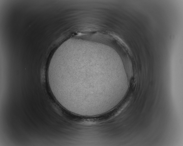 X0000087530489200705251703