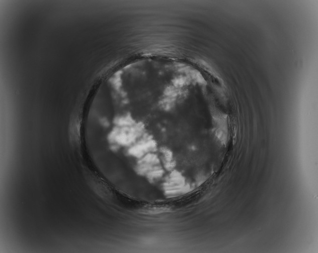X0000087530491200705251702