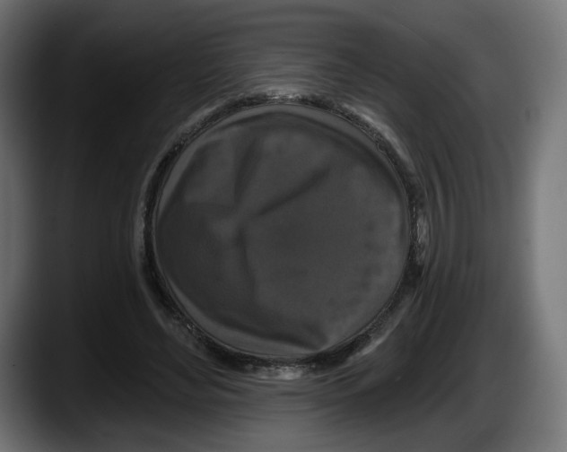 X0000087530492200705251702
