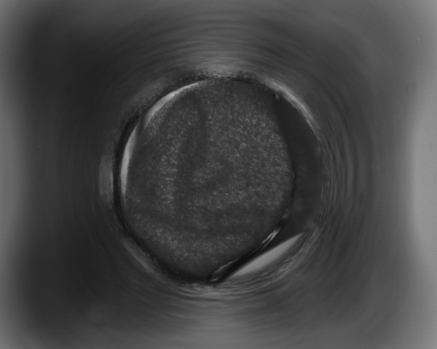 X0000087530493200705251702