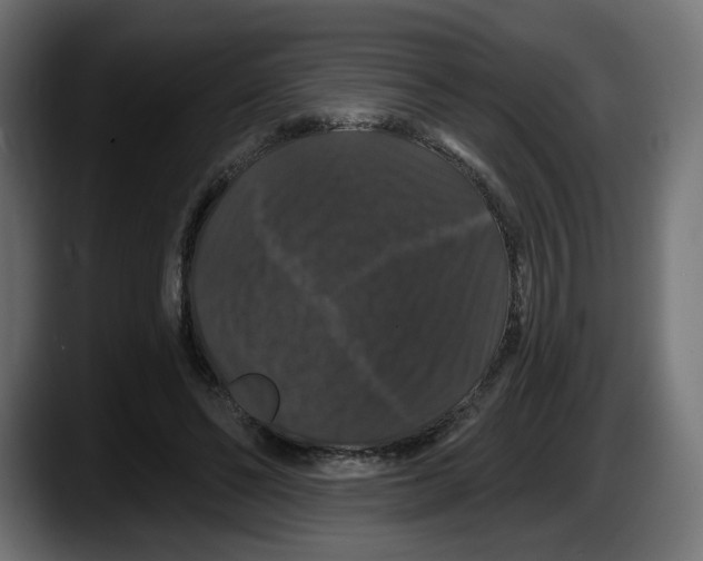 X0000087530494200705251702
