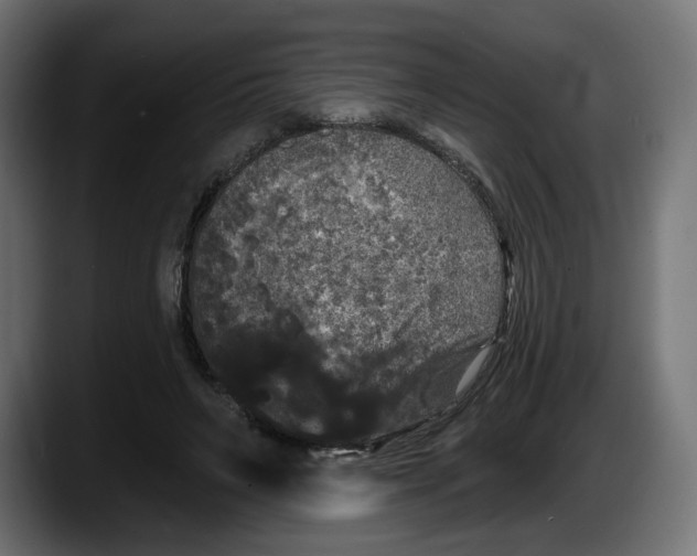X0000087530495200705251702