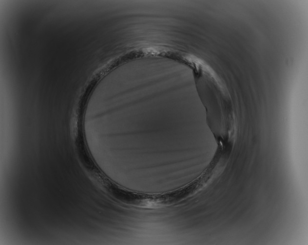 X0000087530496200705251702