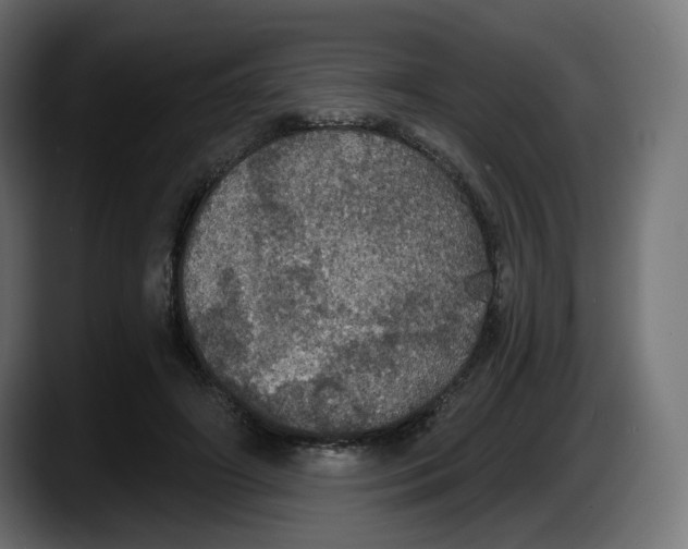 X0000087530498200705251702