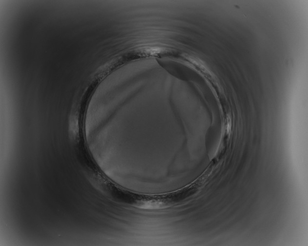 X0000087530500200705251702