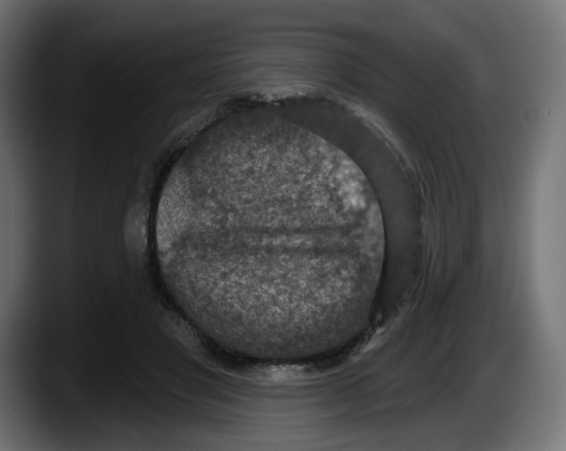 X0000087530501200705251702
