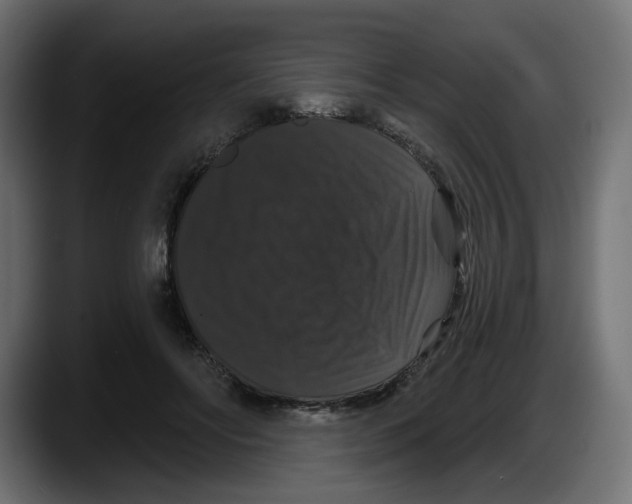 X0000087530502200705251702