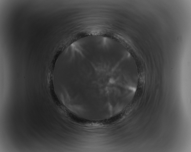 X0000087530503200705251702