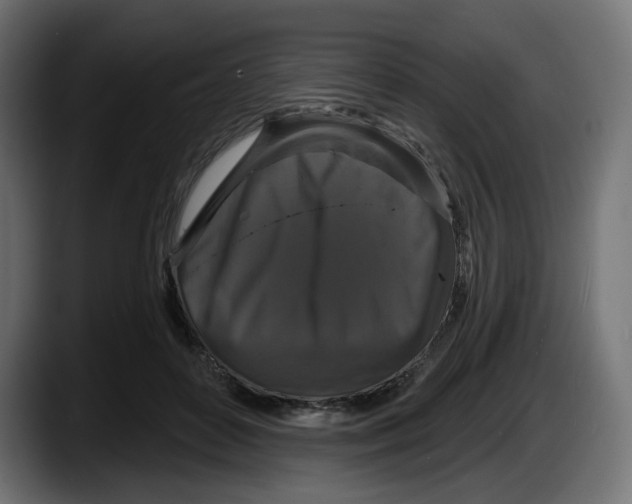 X0000087530504200705251702