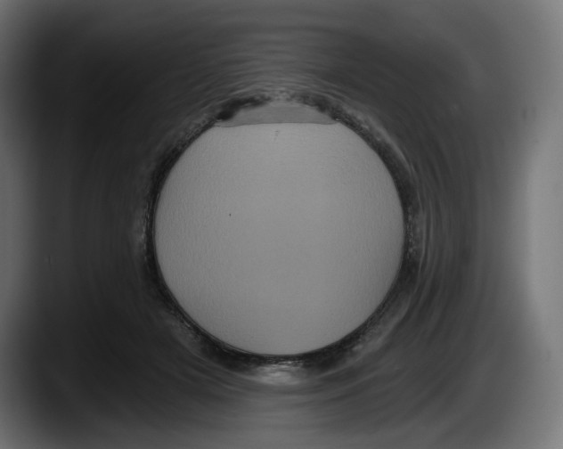 X0000087530505200705251702