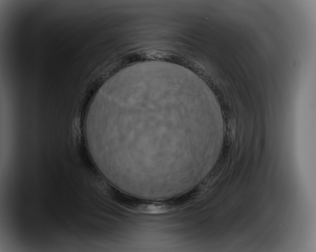 X0000087530506200705251702