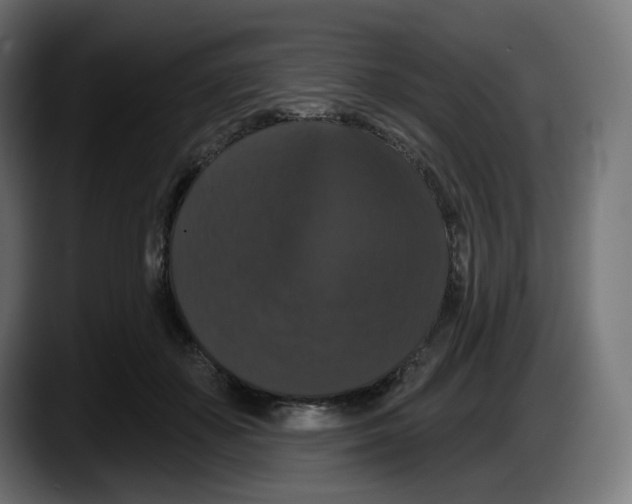 X0000087530507200705251702