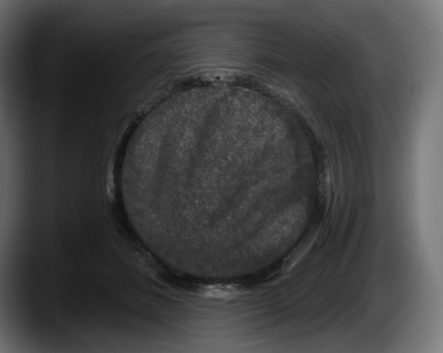 X0000087530508200705251702