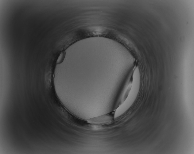 X0000087530509200705251702