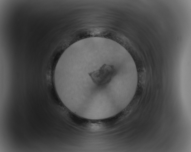 X0000087530510200705251702