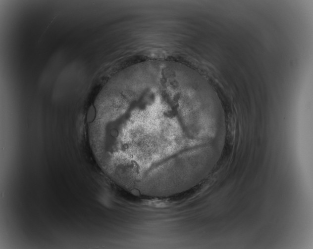 X0000087530511200705251702